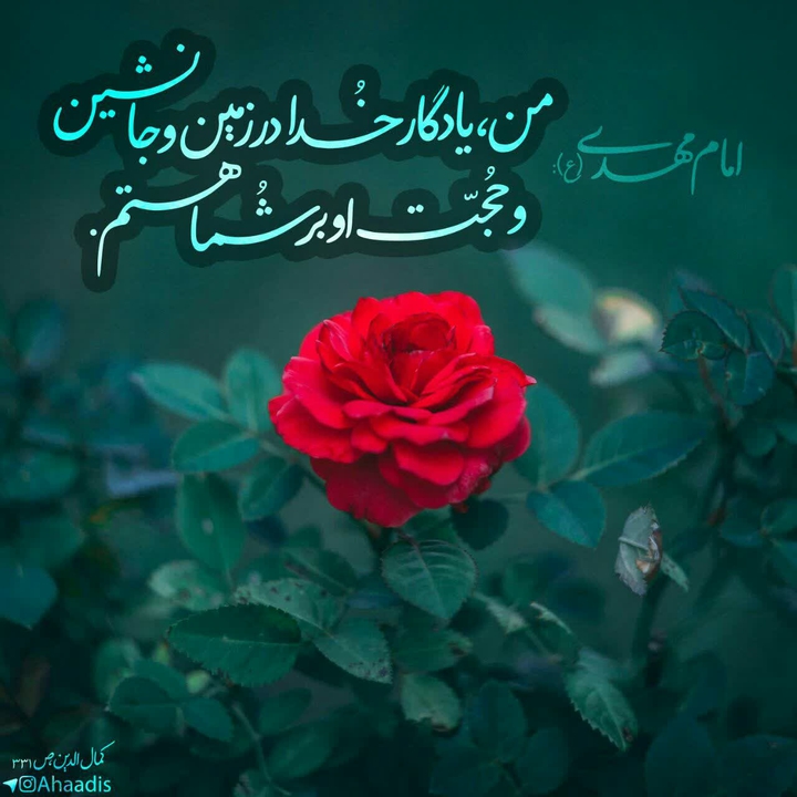 امام مهدی (عج)