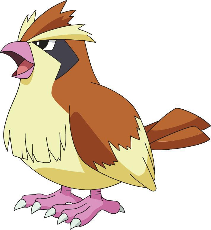 pokemon