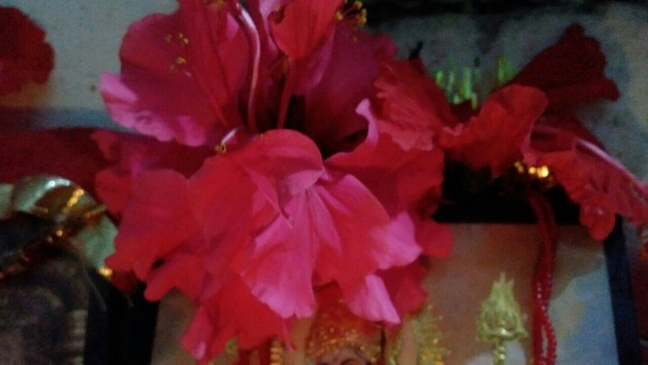 flower