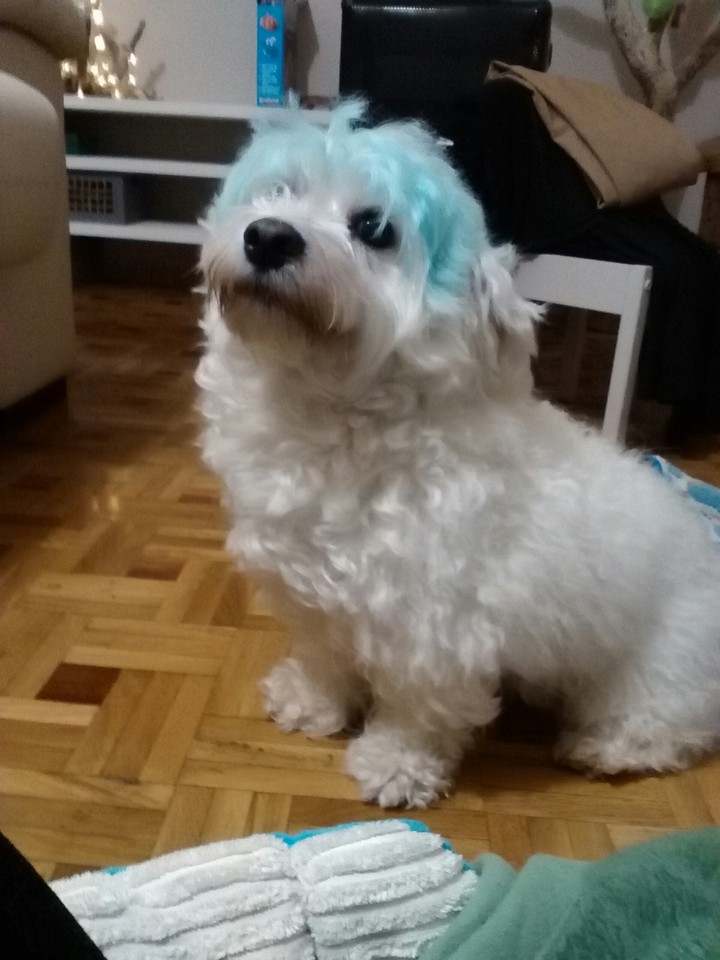 Petrete