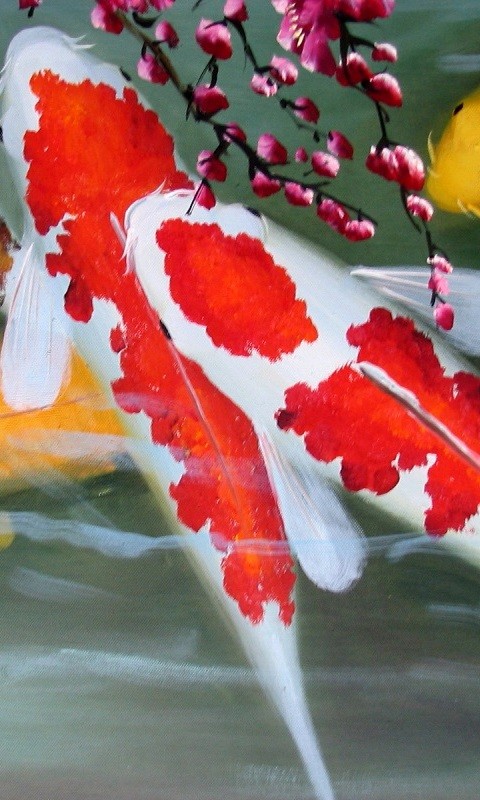 Кои