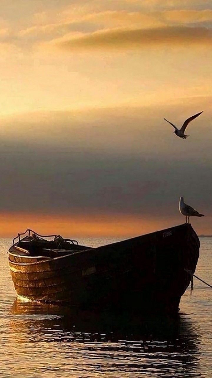 Rest between storms
