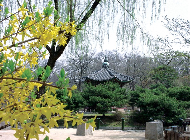풍경이미지