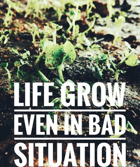 keep growing
