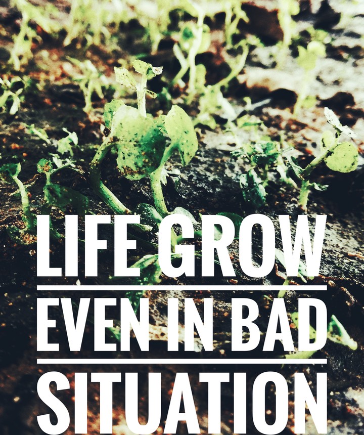 keep growing
