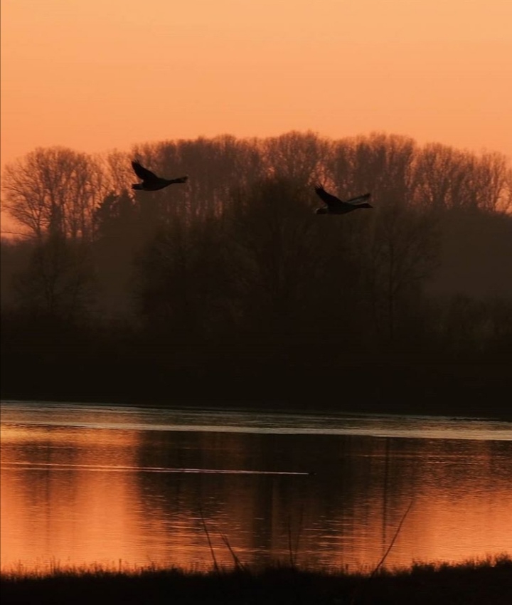 evening