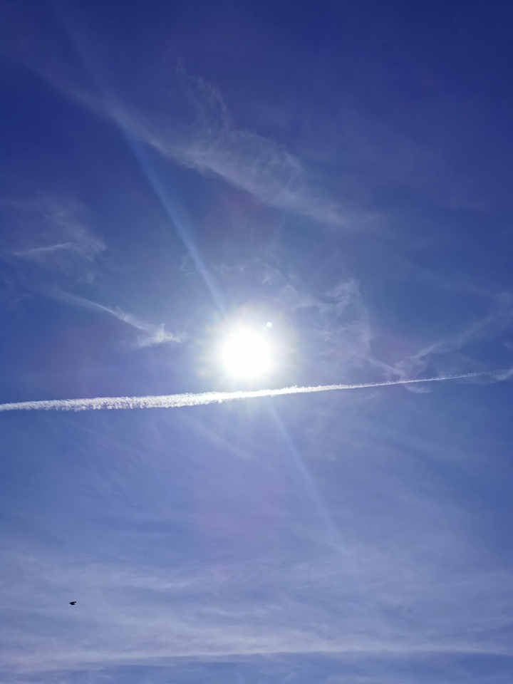 -sun-