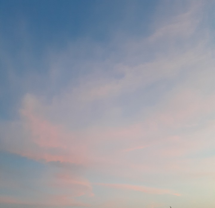 matices