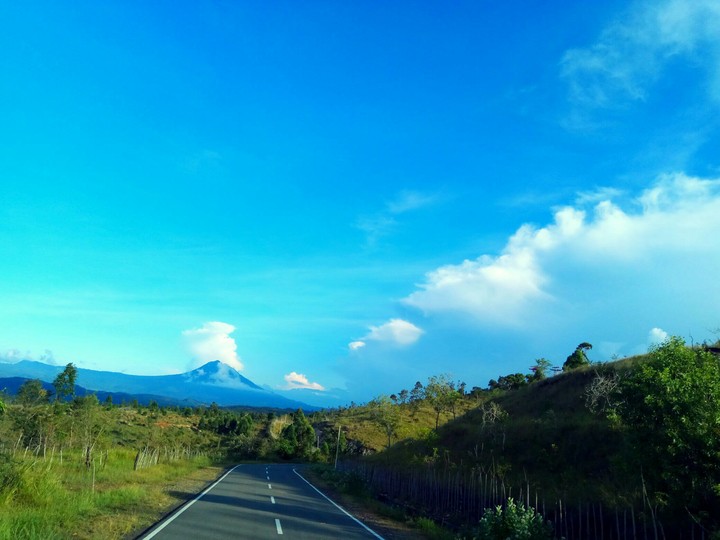Green Aceh