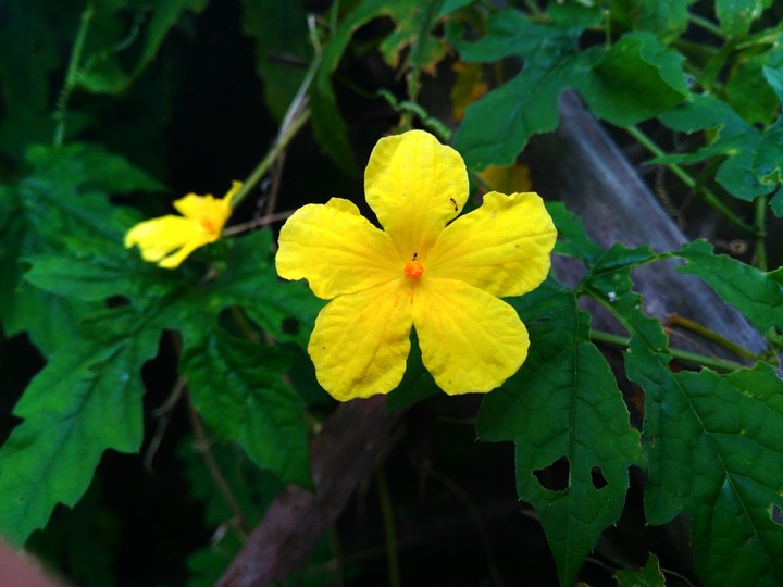 Nature made my day today.