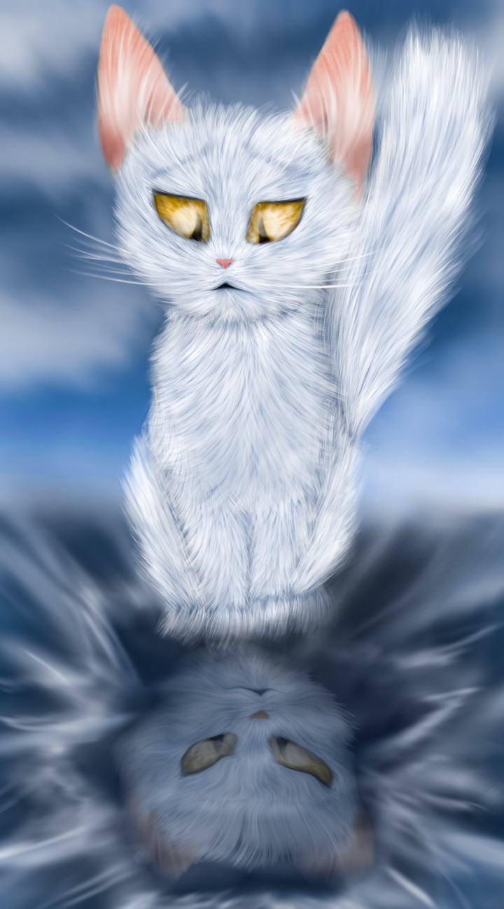 Cat Warrior