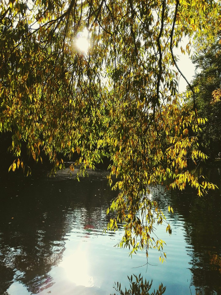 autumn is near