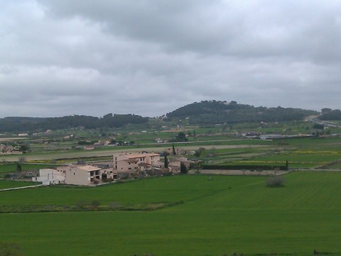 Montuïri