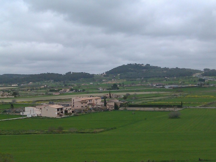 Montuïri