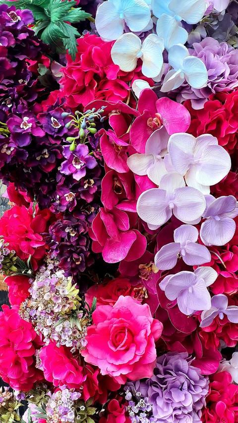 violet, pink háttérképek