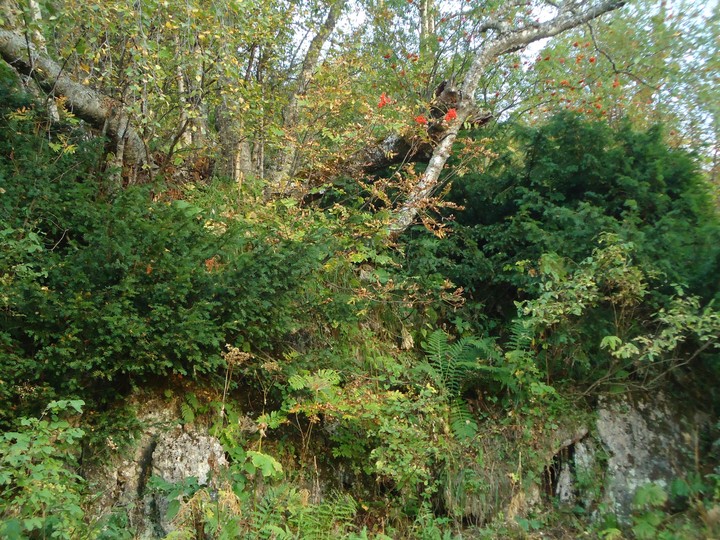 Plato Lago Naki, 2016