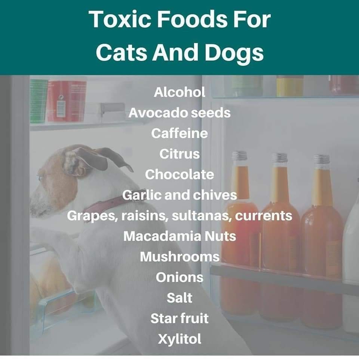 Toxic