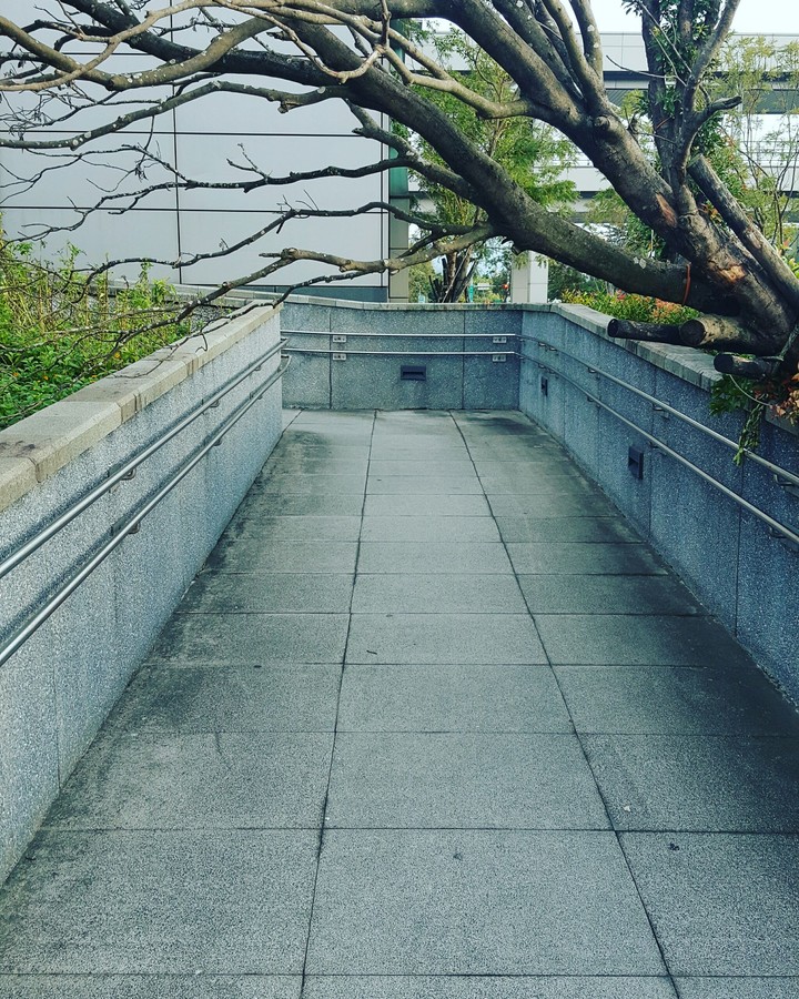 after typhoon