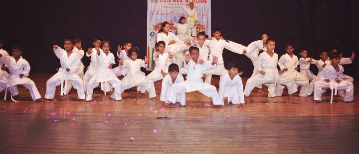 karate - do