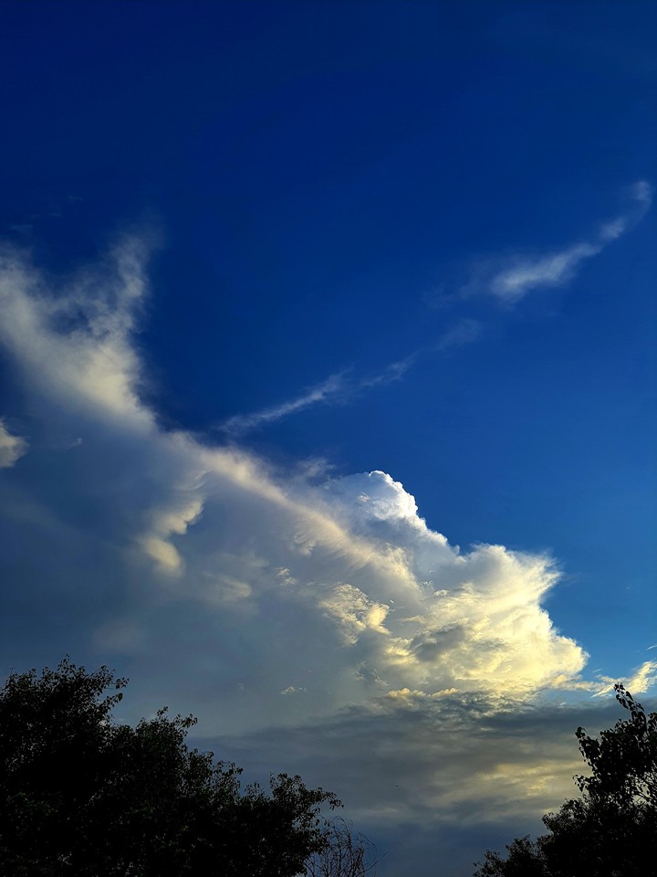 monsoon