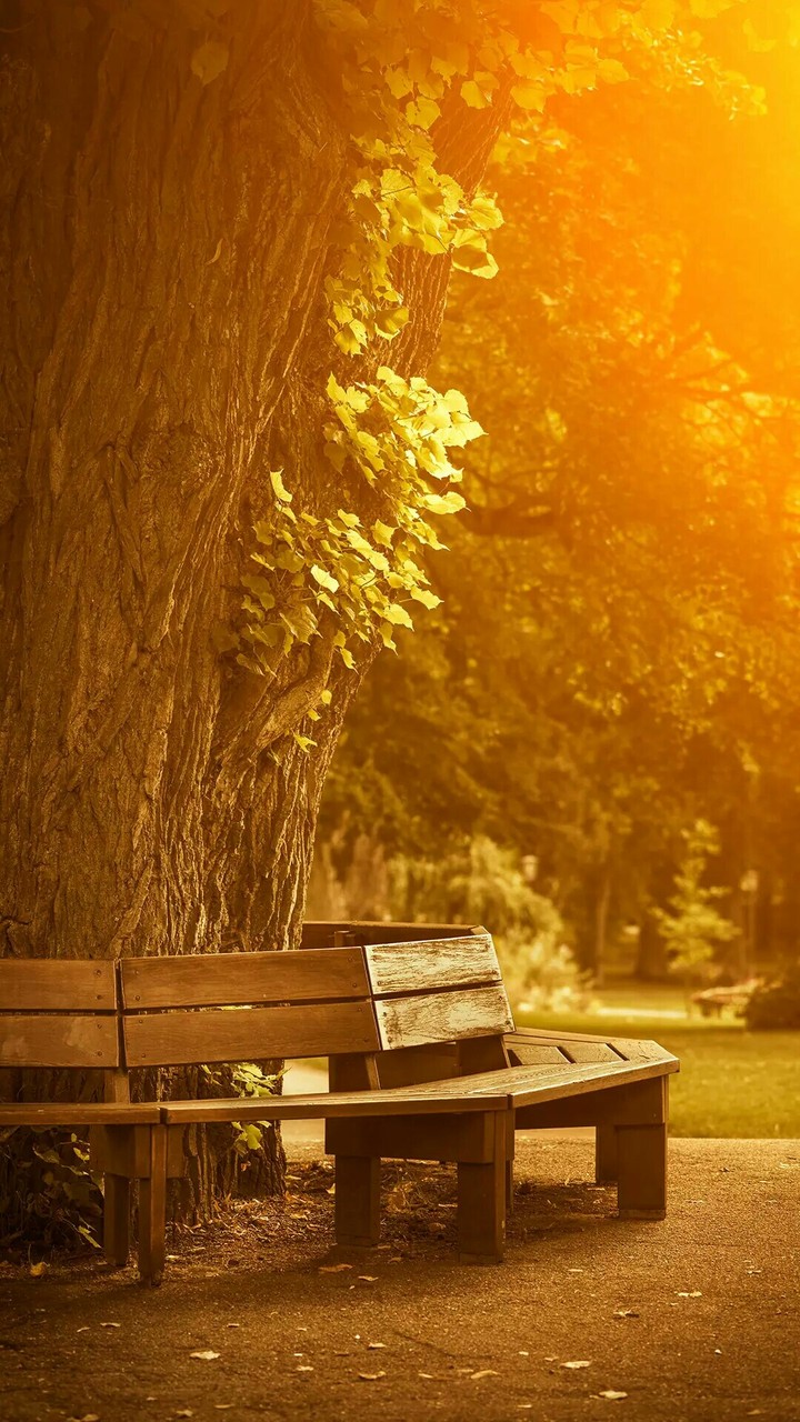 #autumnseason