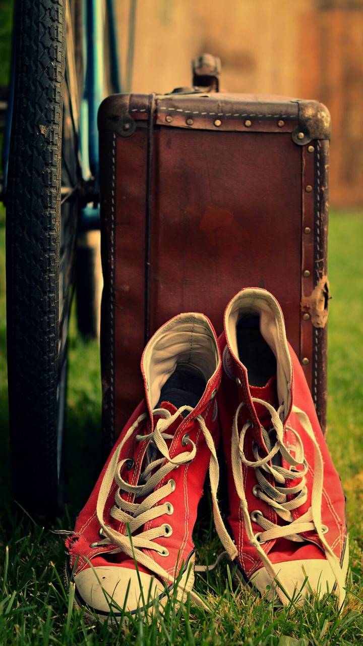 shoe