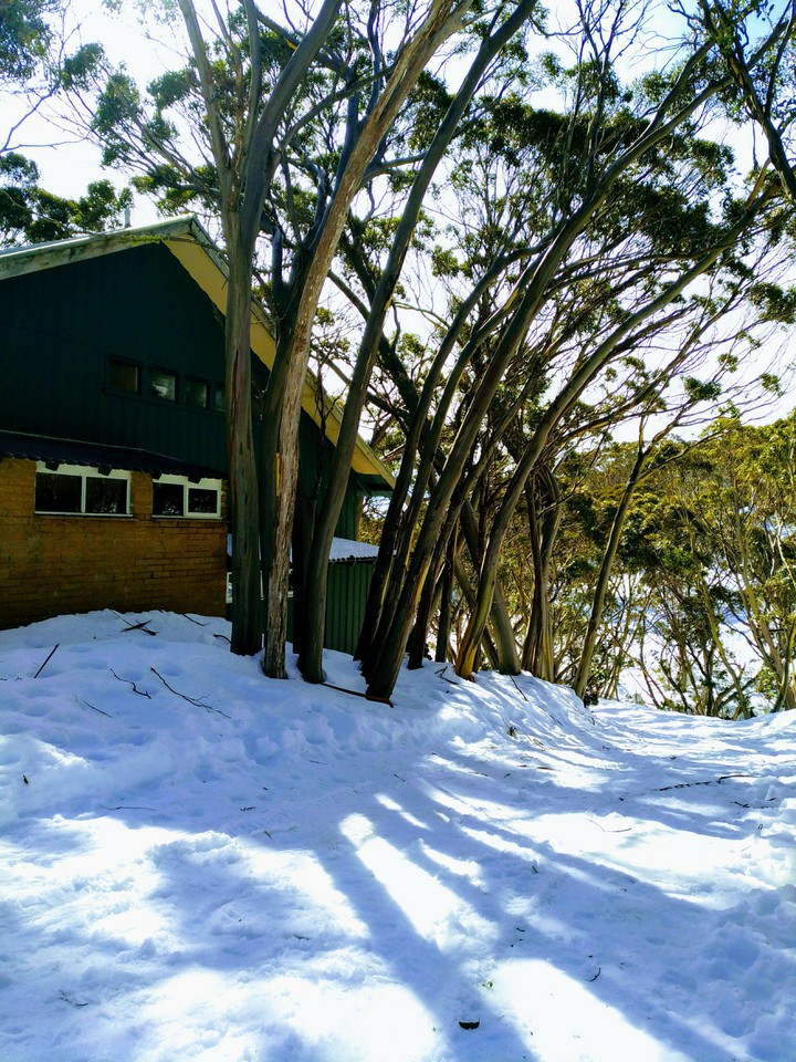 Winter season