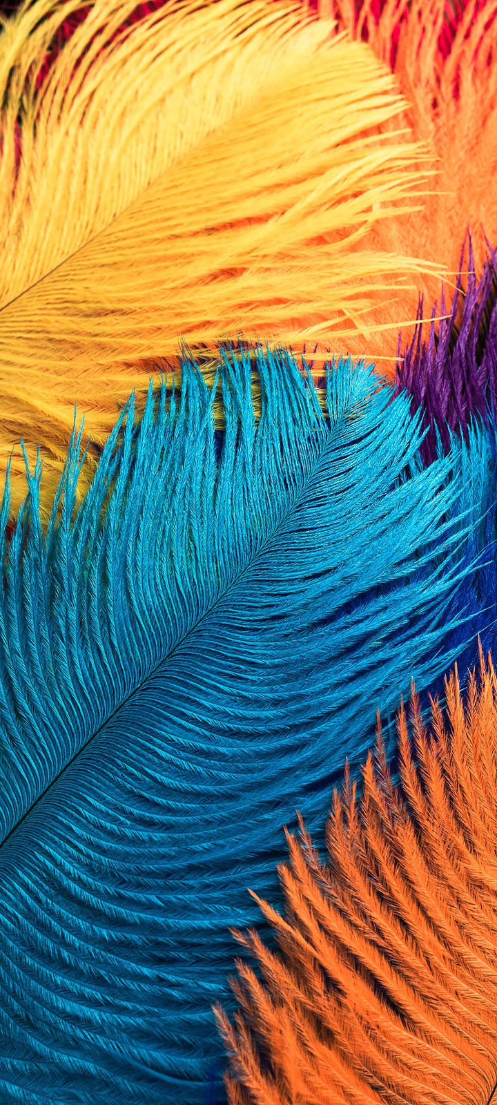 hd wallpapers
