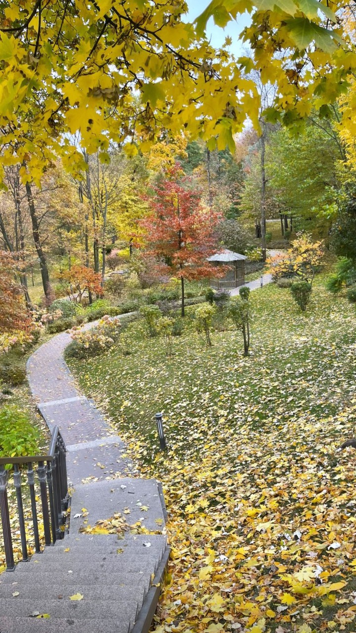 autumn