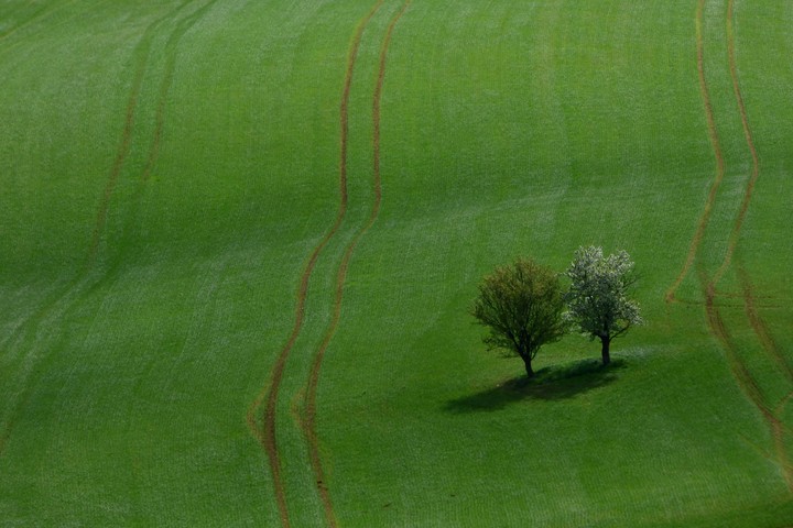 Minimalistic czech landscape