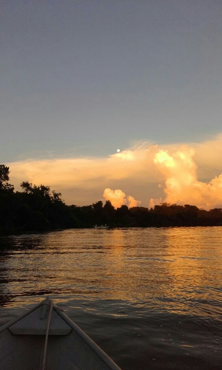 Pantanal/Brasil