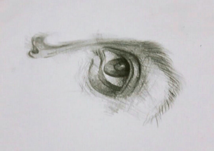 eye