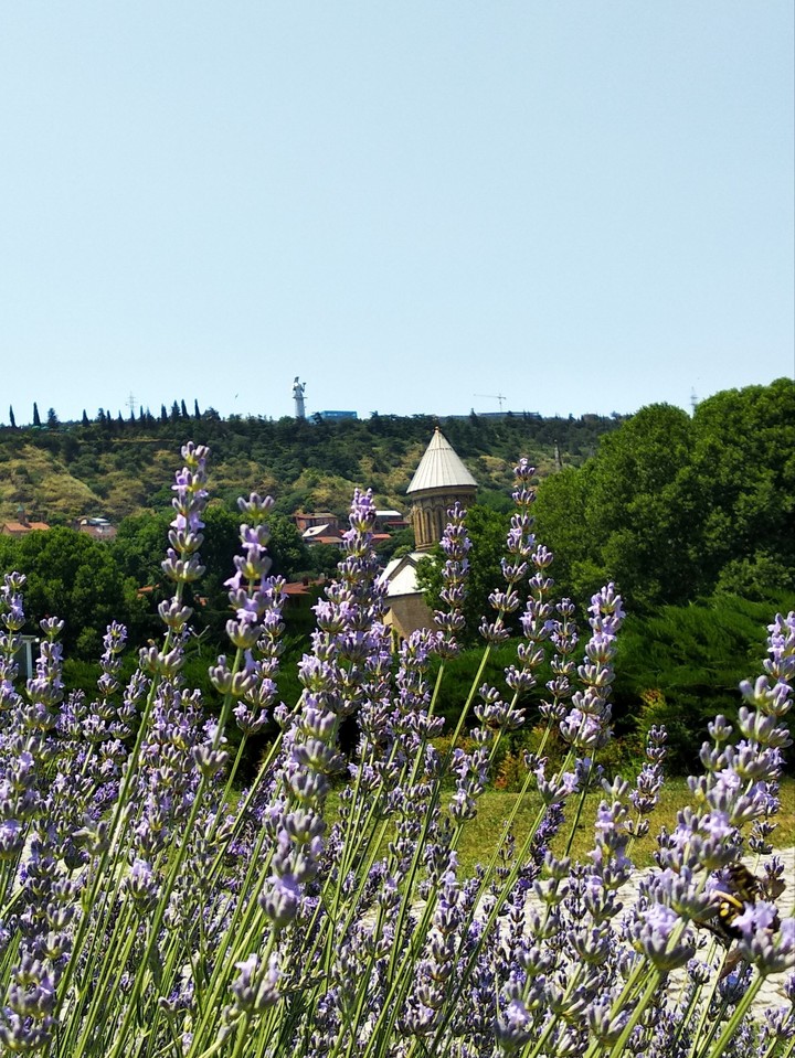 Church and lavender