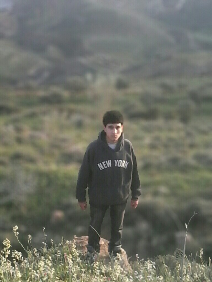 new York