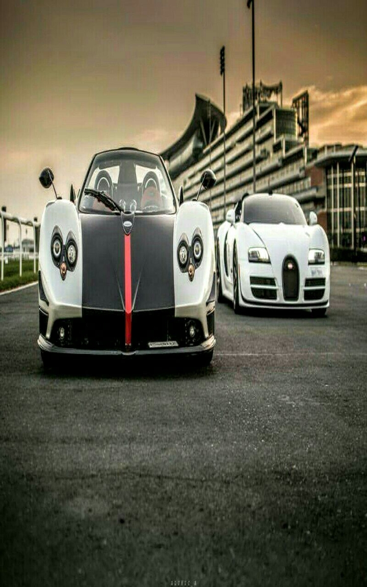 Cinque and Vitesse