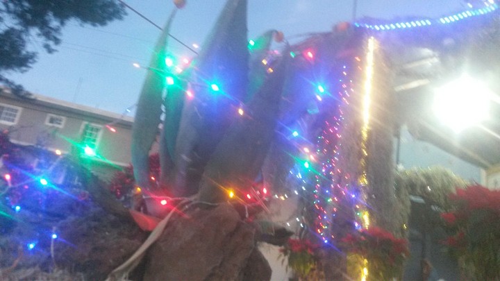 christmas decoration