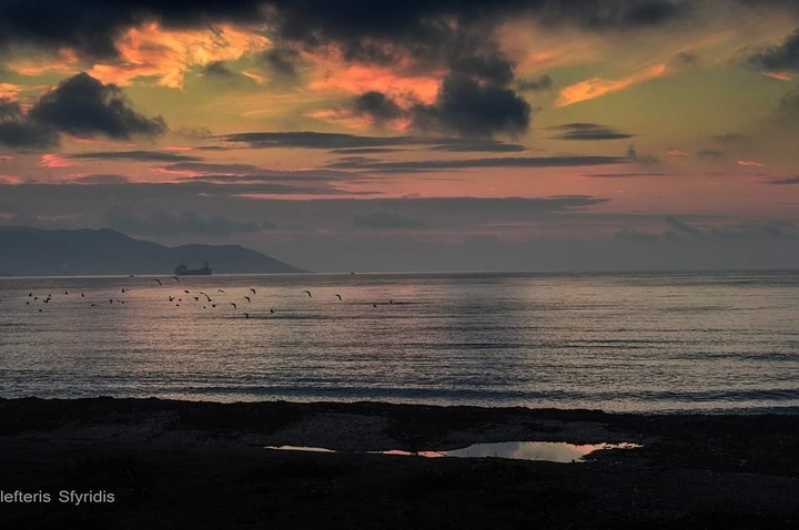 sunset