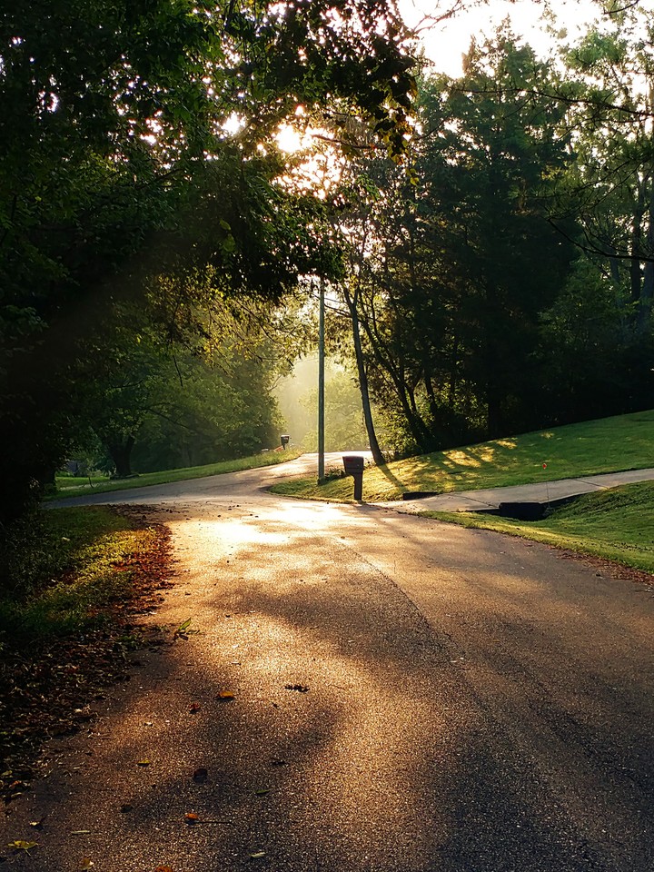Misty Morning