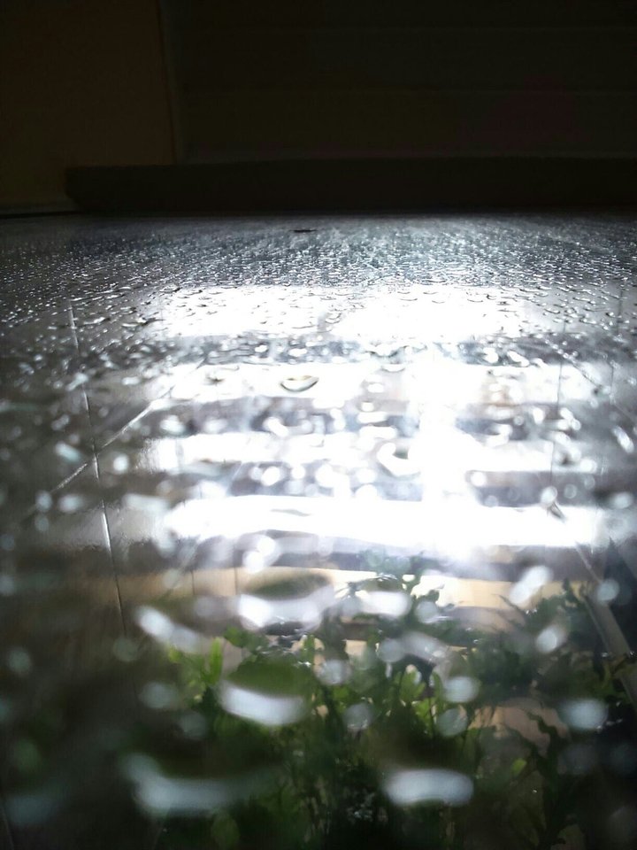 Rain