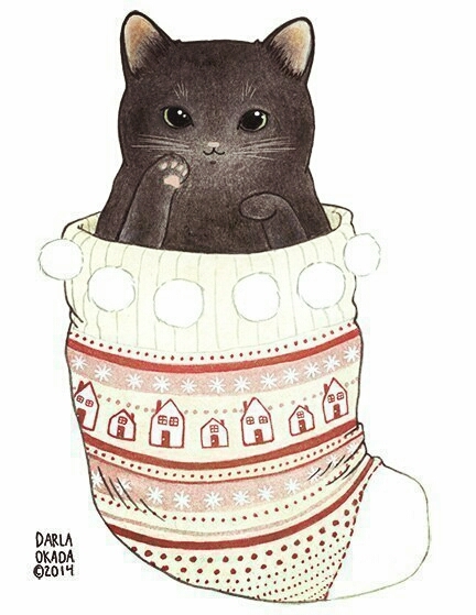 котик