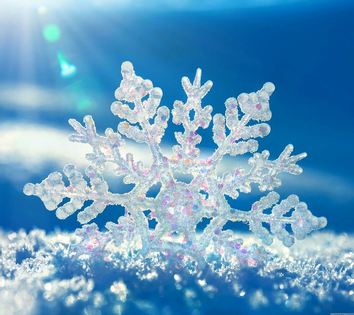 Eisblume