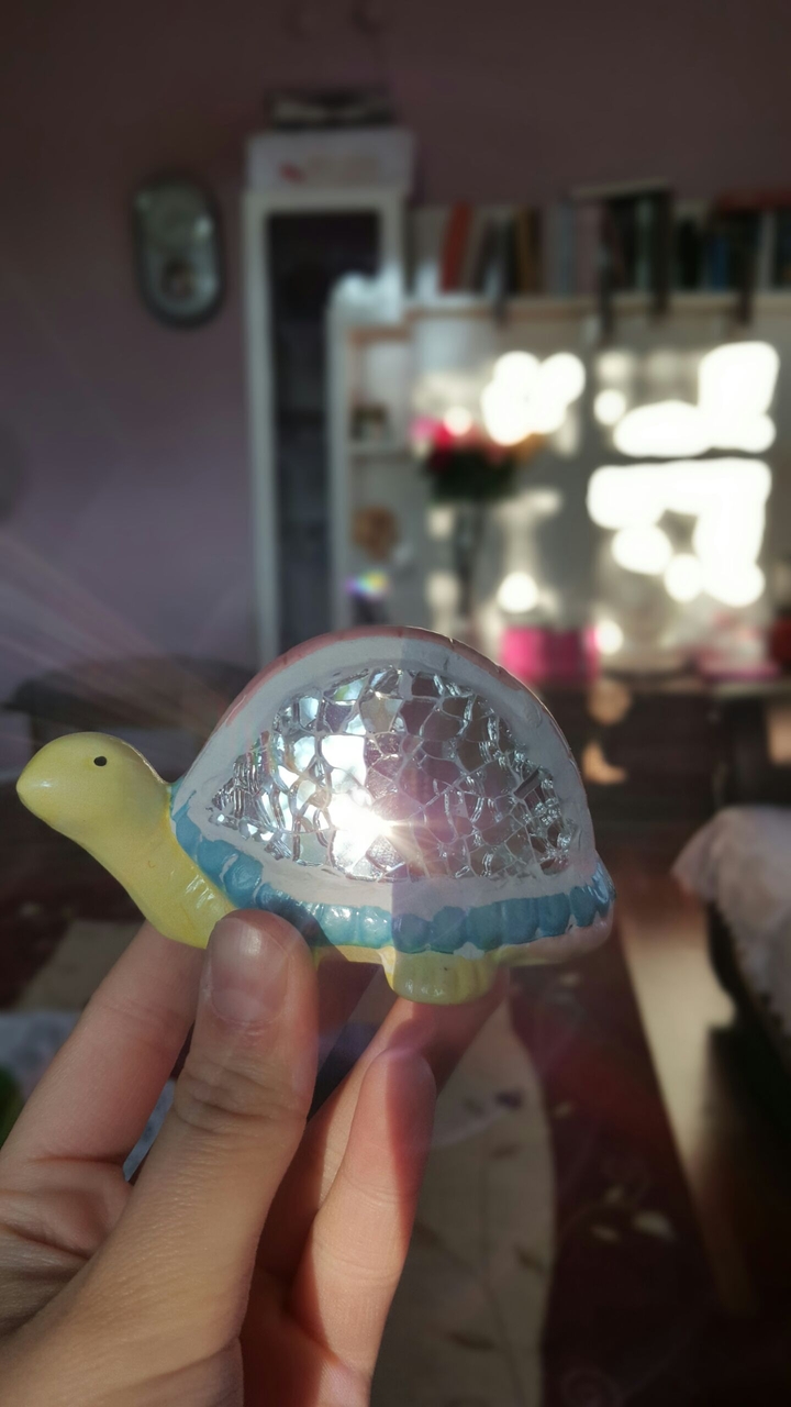 turtle