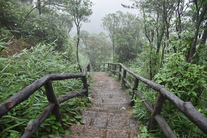 mountain path