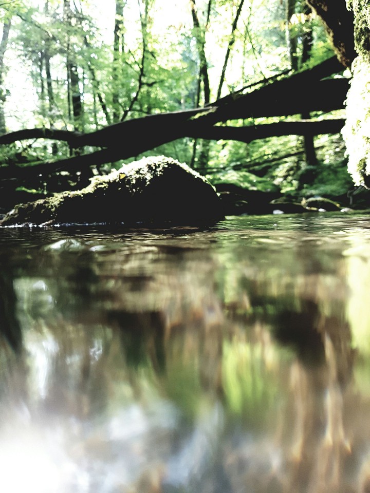 untitled 2