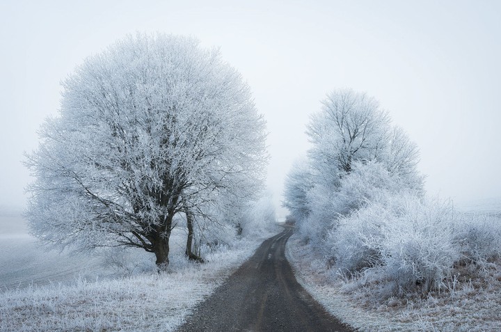 Winter