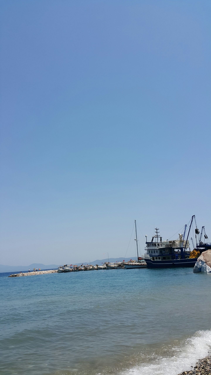 Sea Garden