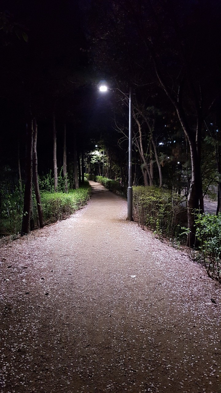숲길
