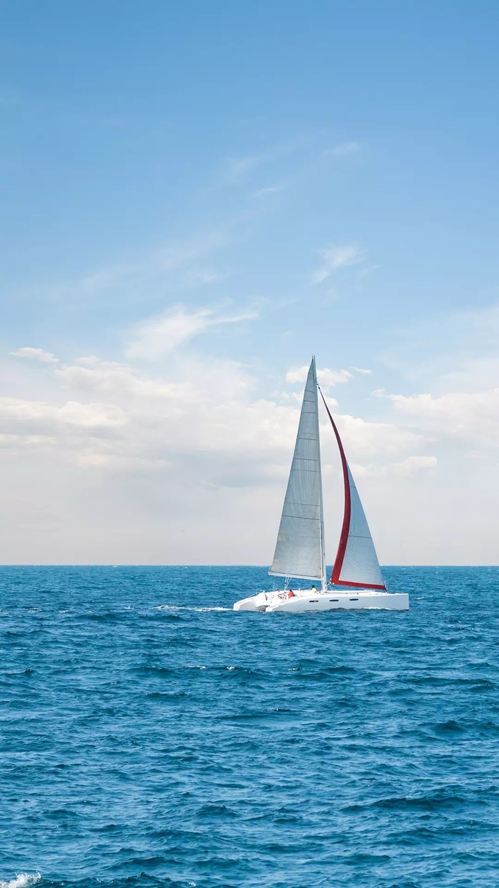 The boat