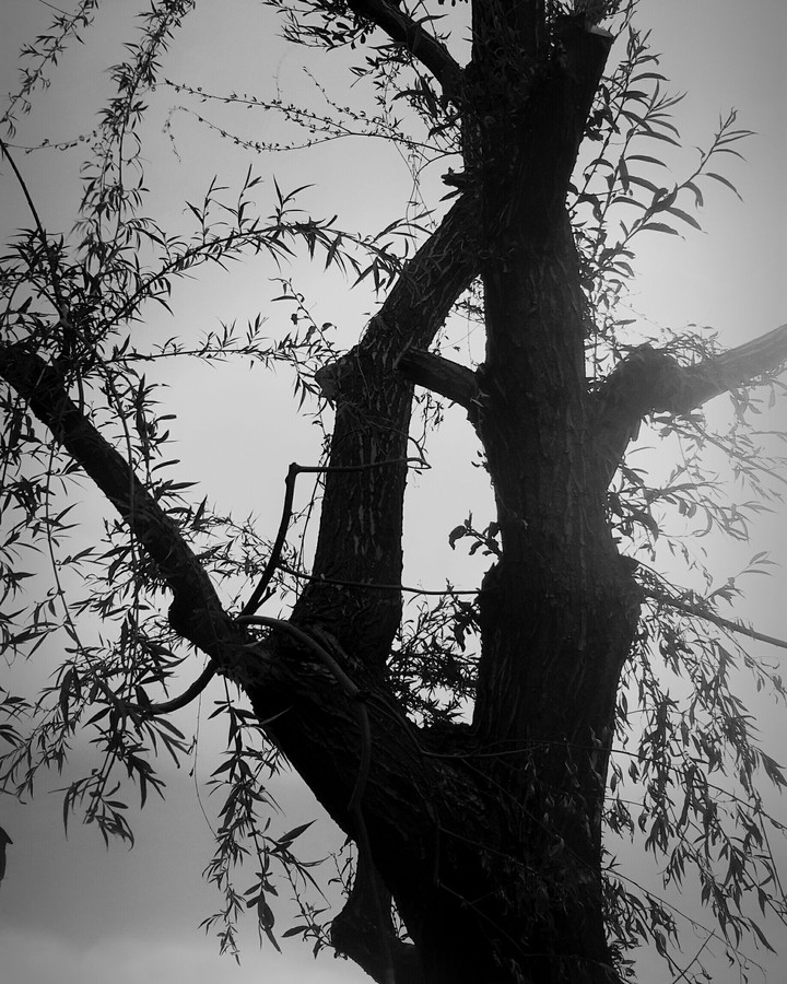 darken