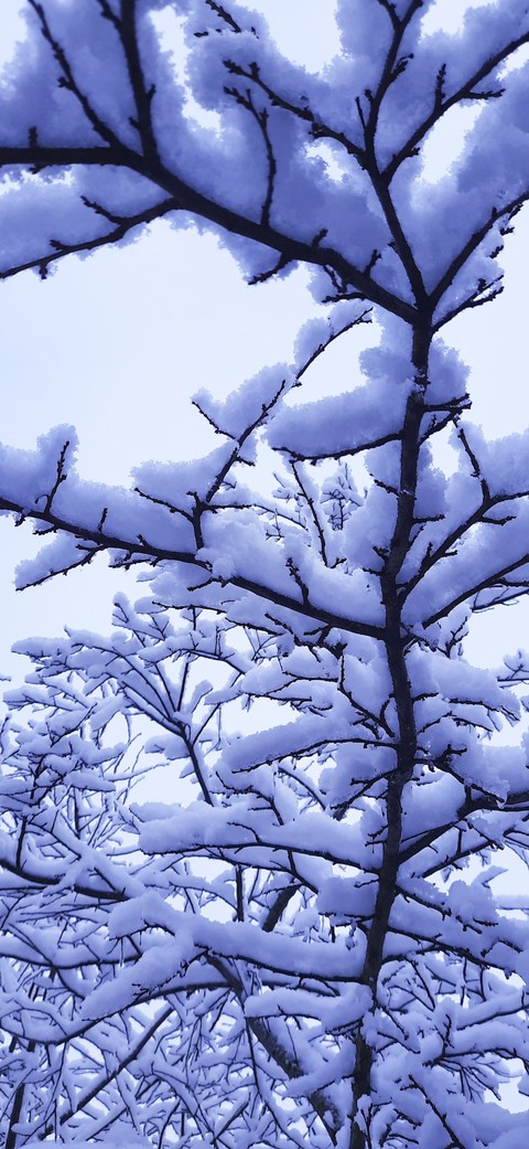 Snow
